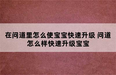 在问道里怎么使宝宝快速升级 问道怎么样快速升级宝宝